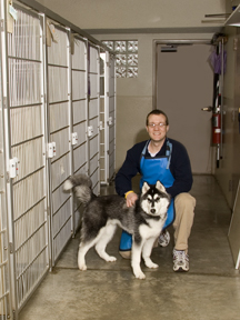 Kennel Area (dogs)